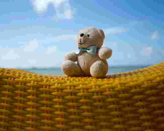 teddy sat down